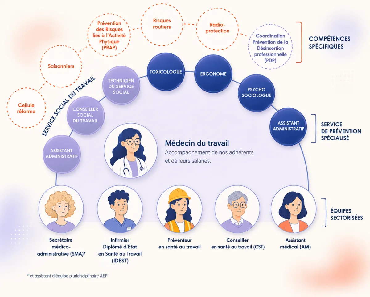 Diagramme de l'équipe pluridisciplinaire MIST Normandie : médecin du travail au centre, équipes sectorielles, service de prévention spécialisé, service social et compétences spécifiques